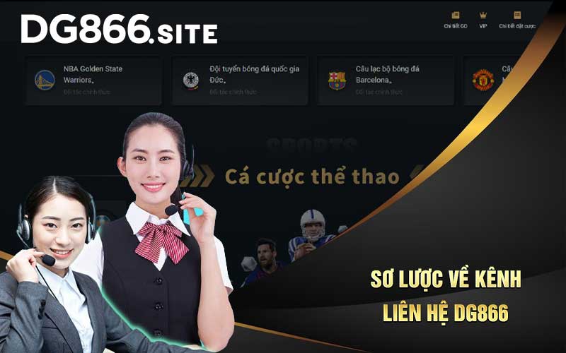 Sơ lược về kênh liên hệ DG866 